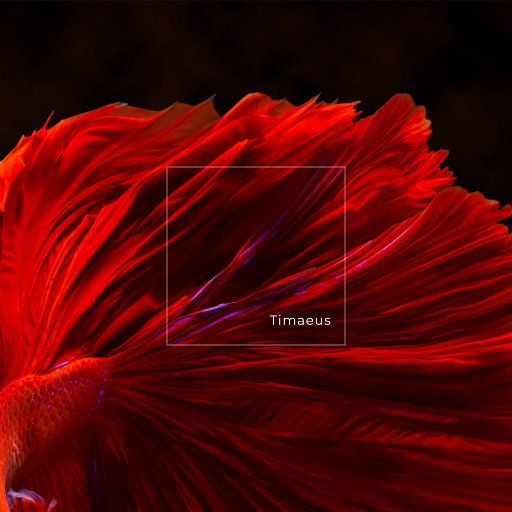 游泳爆乳露双奶头被教练玩弄
